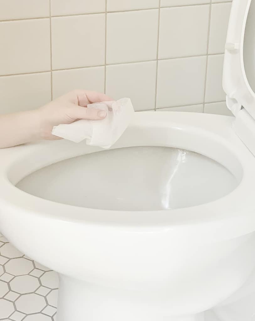 simple tips for cleaning the house toilet ring