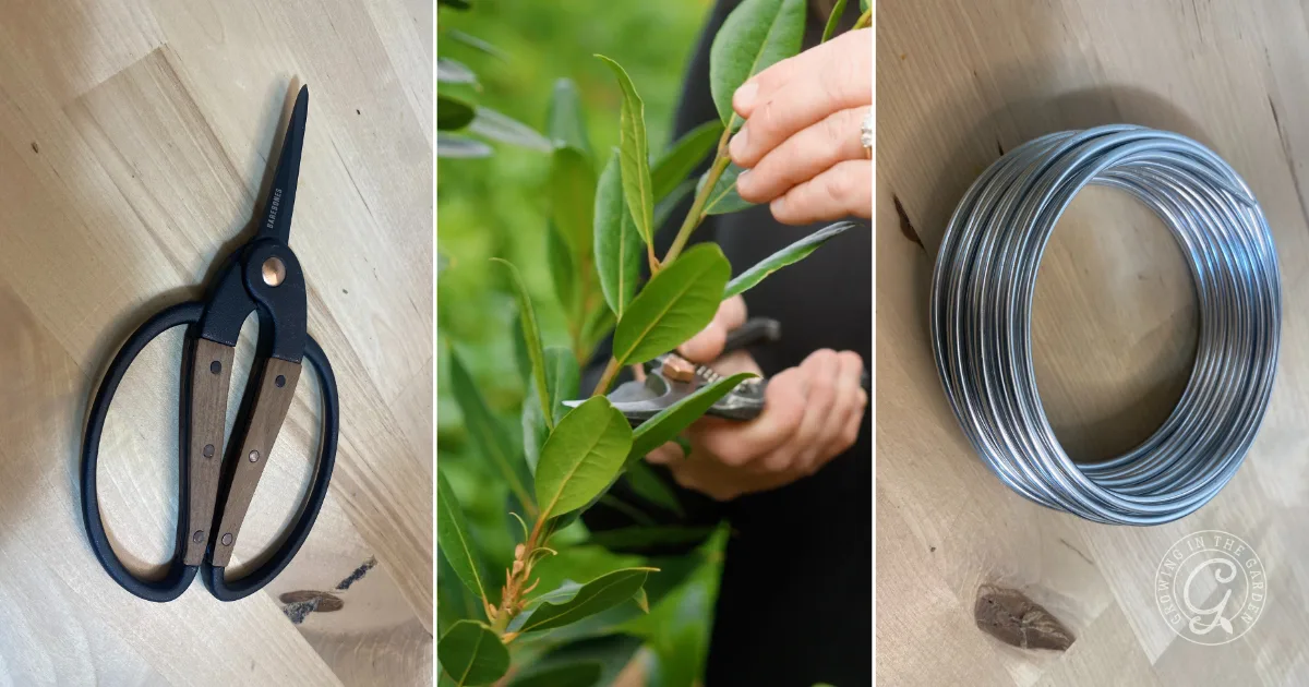 three images: garden shears, a hand pruning leaves, and a coil of silver wire—essential tools for how to make a bay laurel wreath.