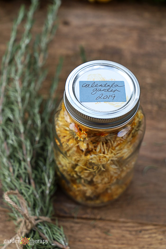 jar of dried calendula next to rosemary sprig