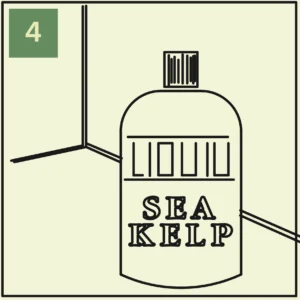 growing greens year-round