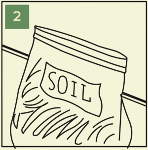 growing greens year-round