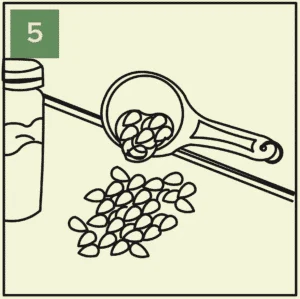 growing greens year-round