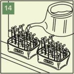 growing greens year-round