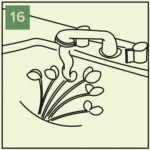 growing greens year-round