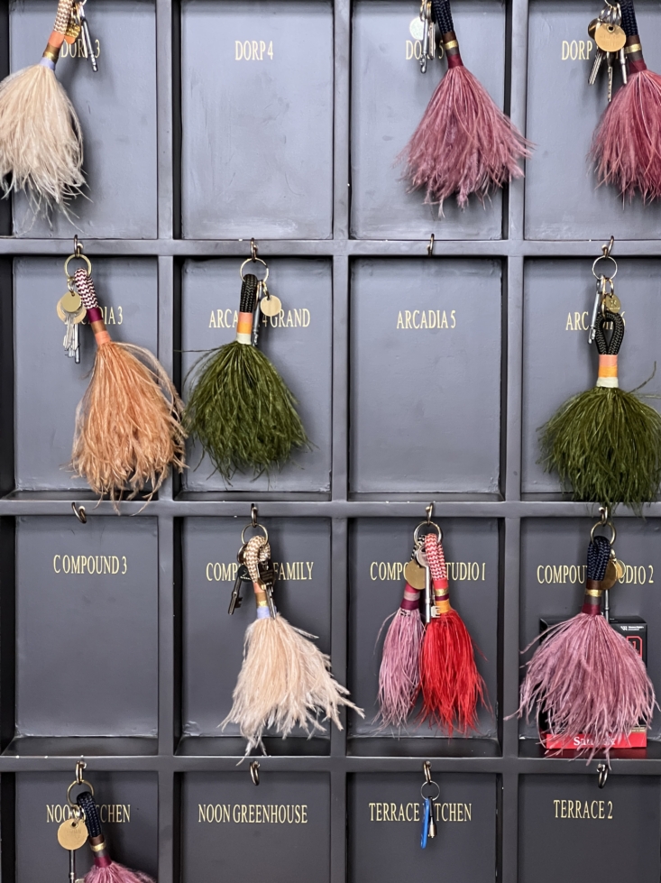 dorp hotel in cape town, photograph by janet hall 19