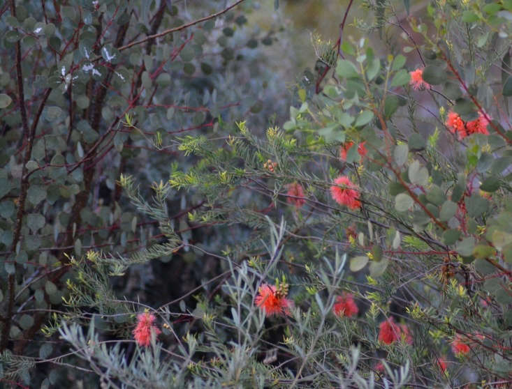 photograph by lady amberelle via flickr.