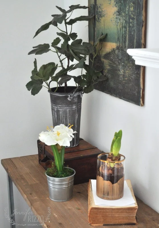 Early Forcing Spring Bulbs - Jennifer Rizzo 25 Three potted plants, including a blooming white flower and a bulb in a glass jar, are arranged on a wooden table in a cozy winter living room near a wall adorned with a framed picture.