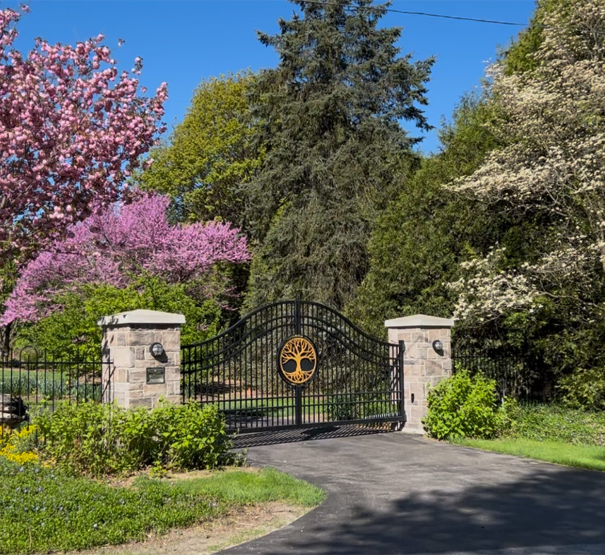 flowering trees on either side of driveway gate