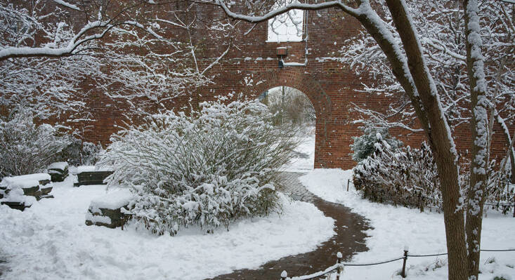 snowscape visit: the max family garden in brooklyn