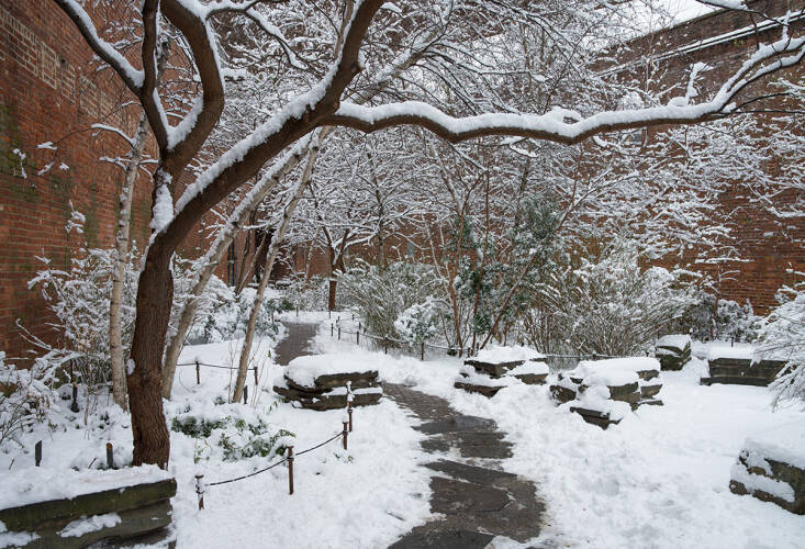 snowscape visit: the max family garden in brooklyn