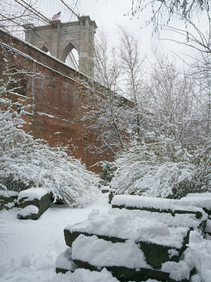 snowscape visit: the max family garden in brooklyn