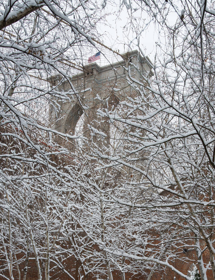 snowscape visit: the max family garden in brooklyn