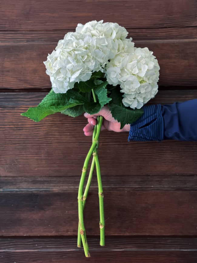 decorate with hydrangeas