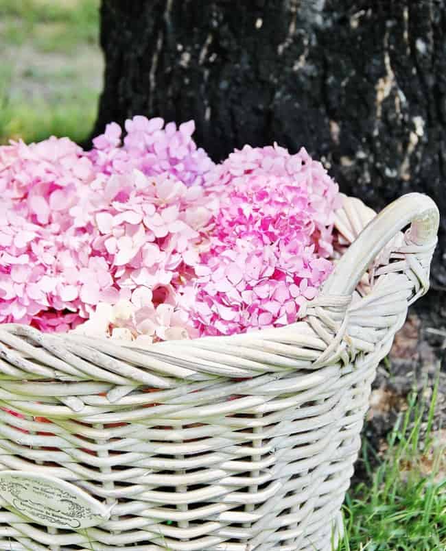 decorate with hydrangeas