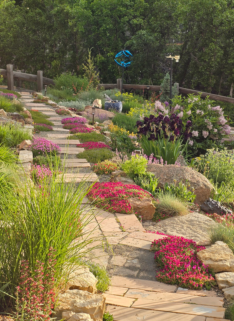 drought tolerant spring garden