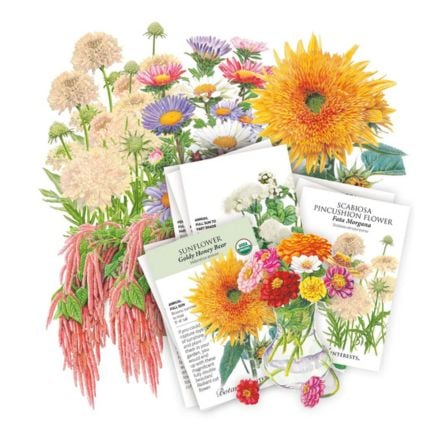 signs of trouble to watch for 2 cut flower garden seed bundle