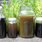 The Advantages of Organic Fertilizer: 5 Natural Fertilizer Recipes