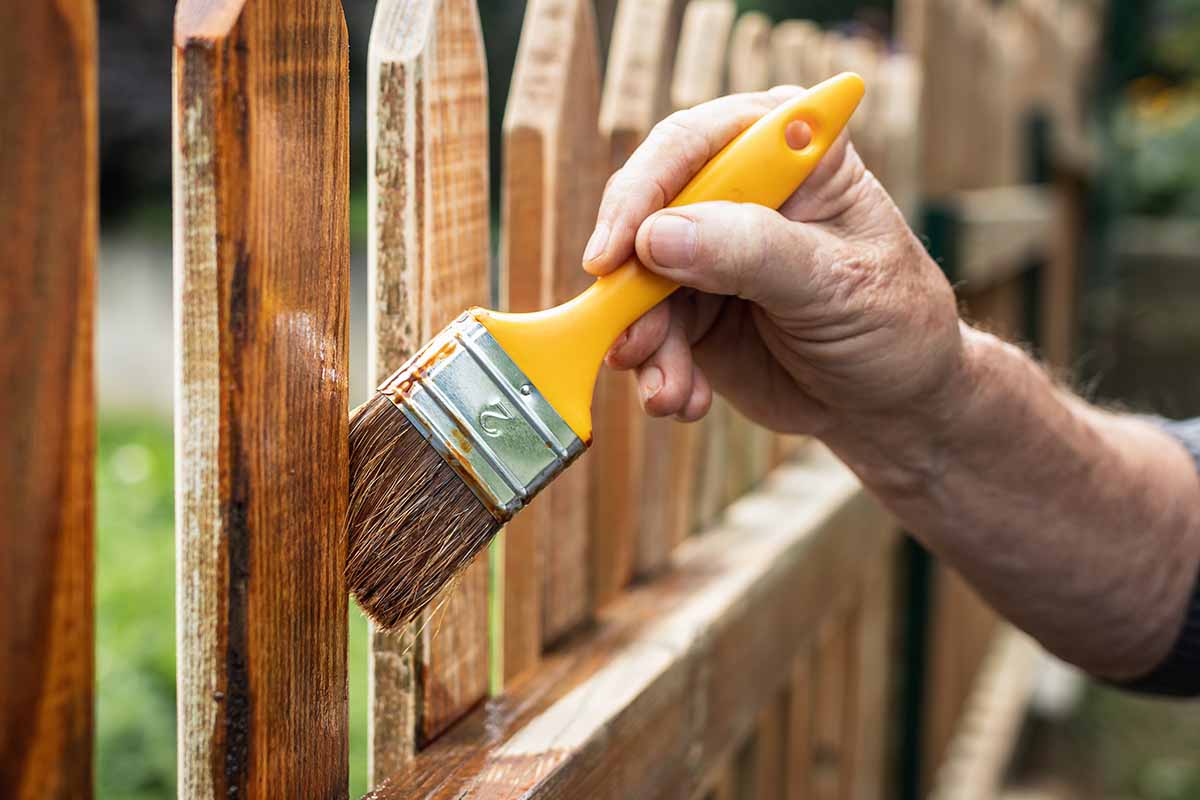 your spring garden checklist to start the season strong 7 a close up horizontal image of a hand from the right of the frame using a paintbrush to oil a wooden fence outdoors.