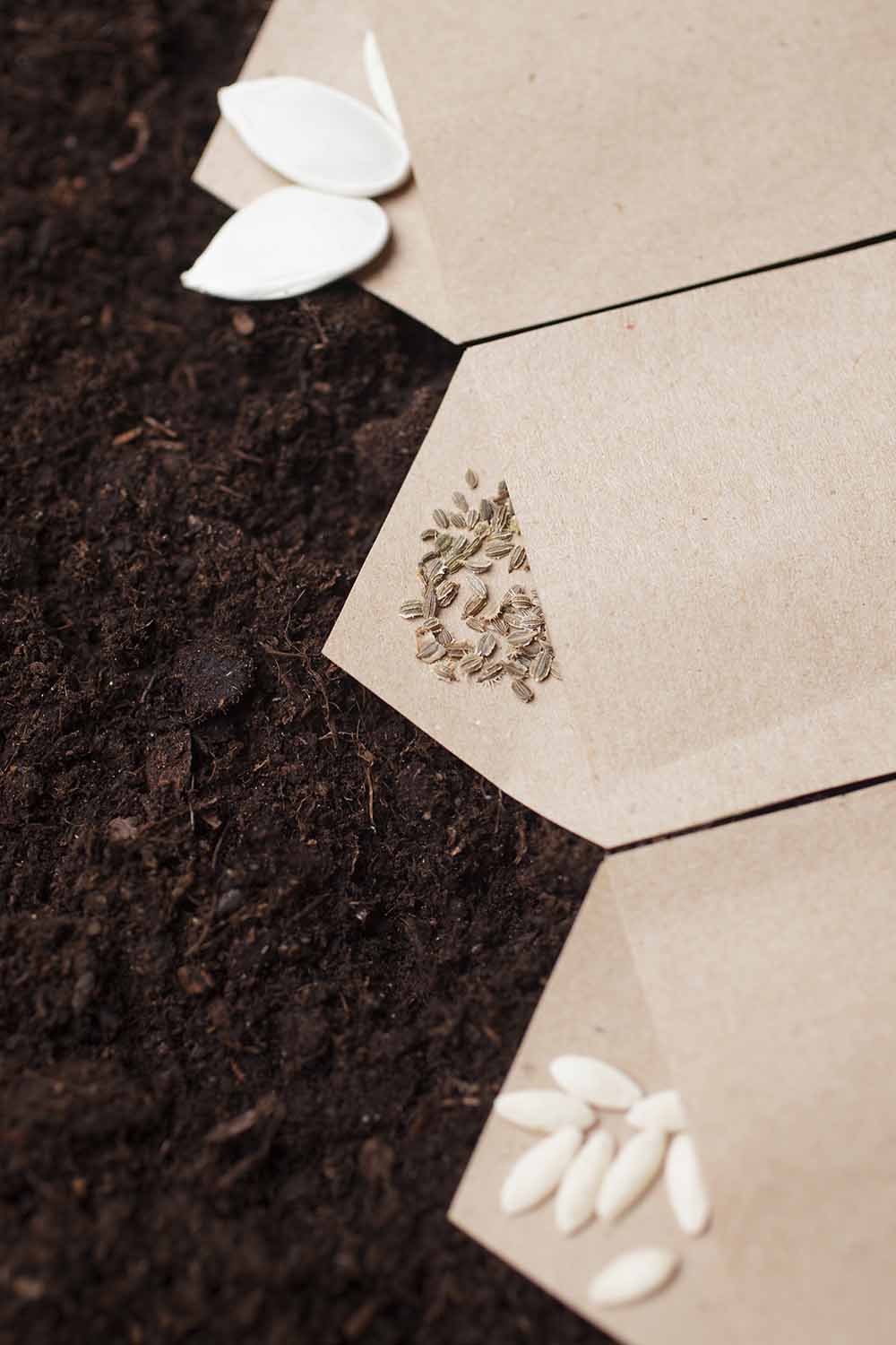 your spring garden checklist to start the season strong 6 a close up vertical image of paper seed packets set on dark soil with seeds spilling out.
