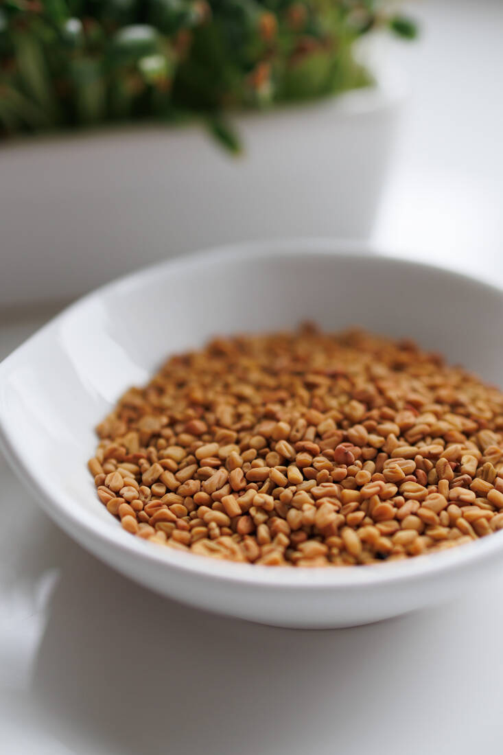 fenugreek microgreens how
