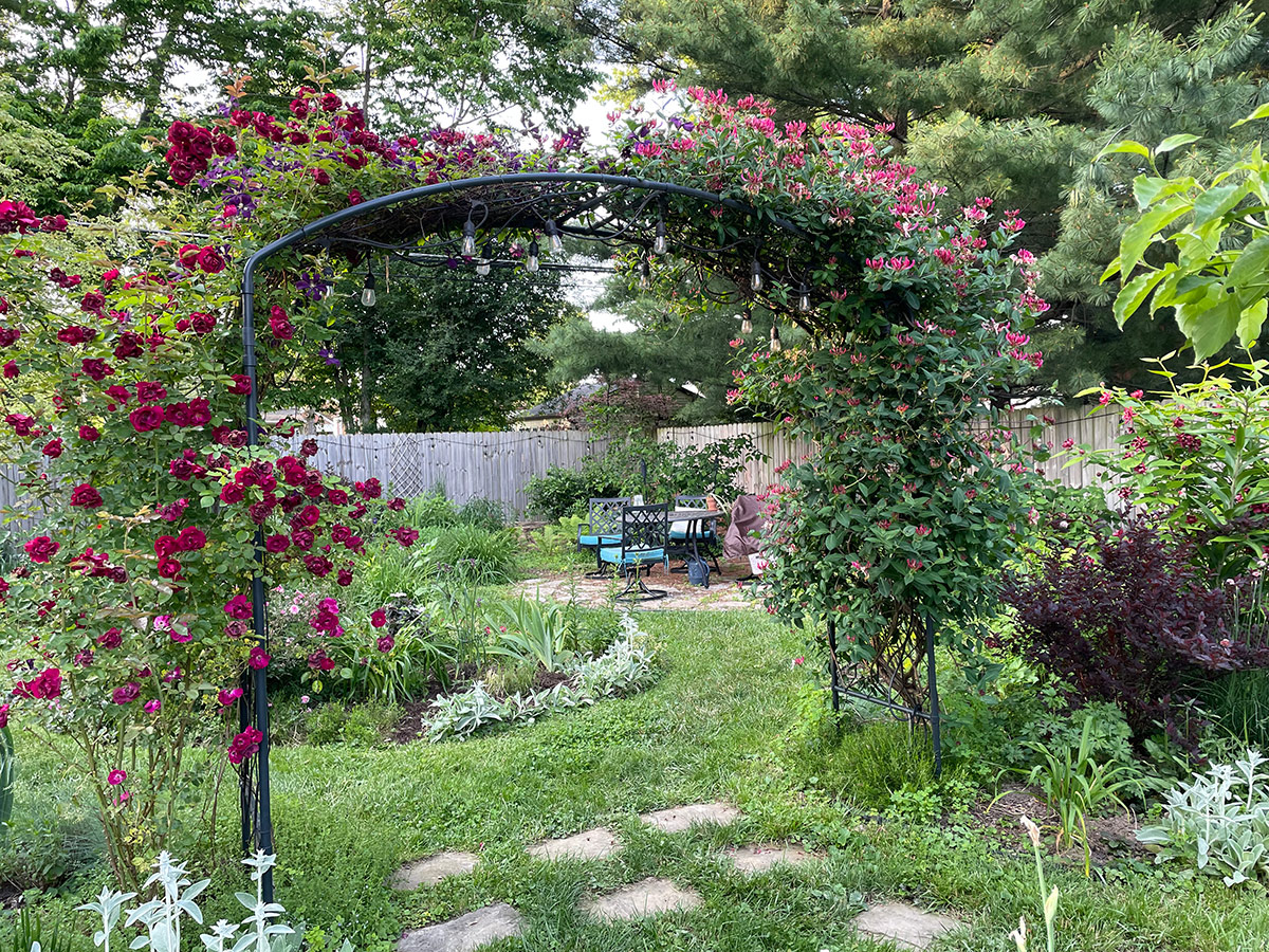 large garden arbor covered in climbing flowers