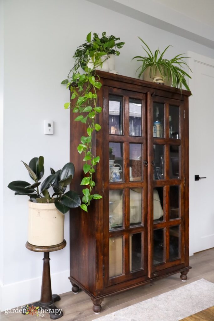 how to arrange plants in a living room (5 tips!) 9 houseplants on cabinet