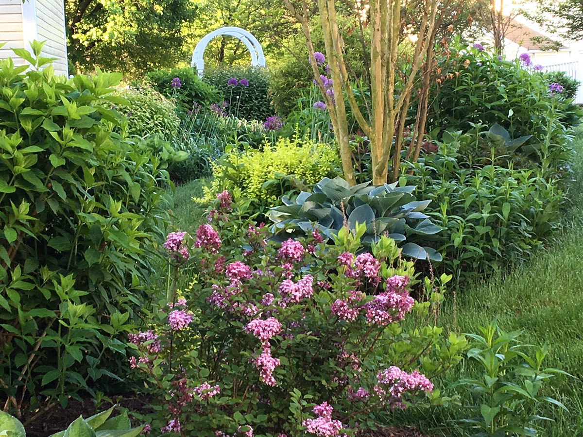 shade garden with grass paths