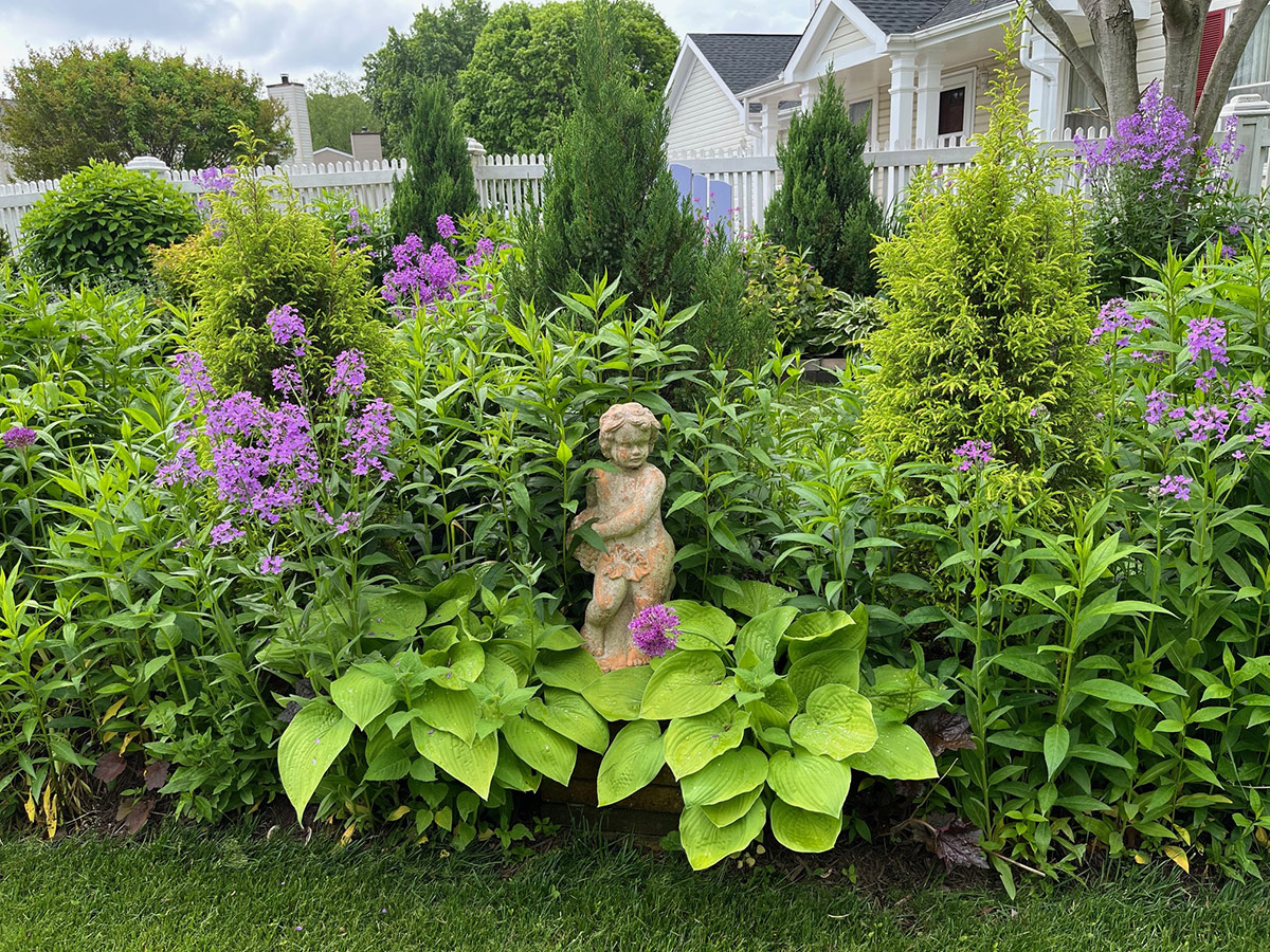 purple and green garden bed