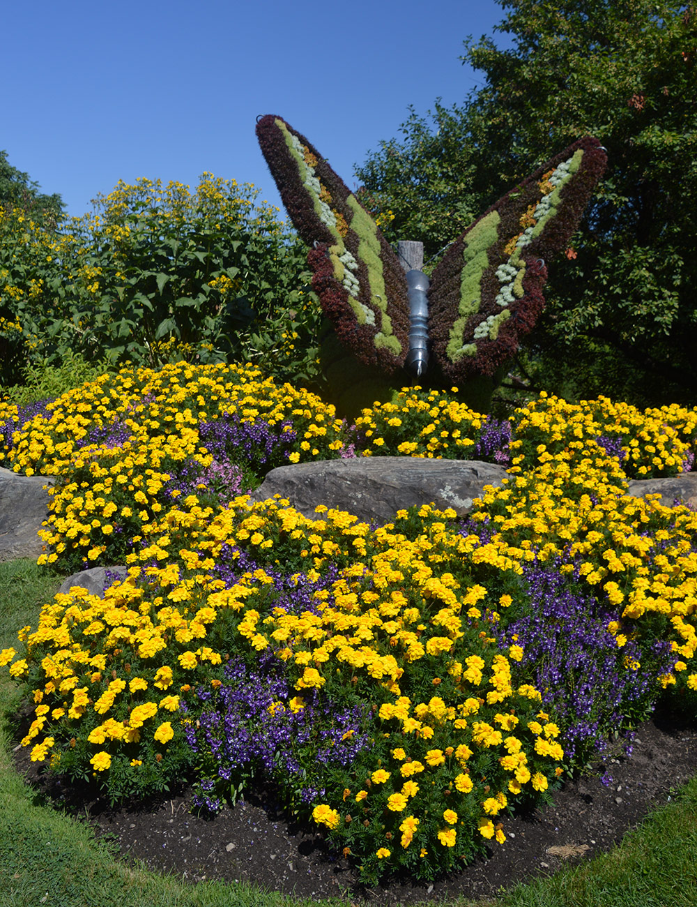 butterfly sculpture made of plants
