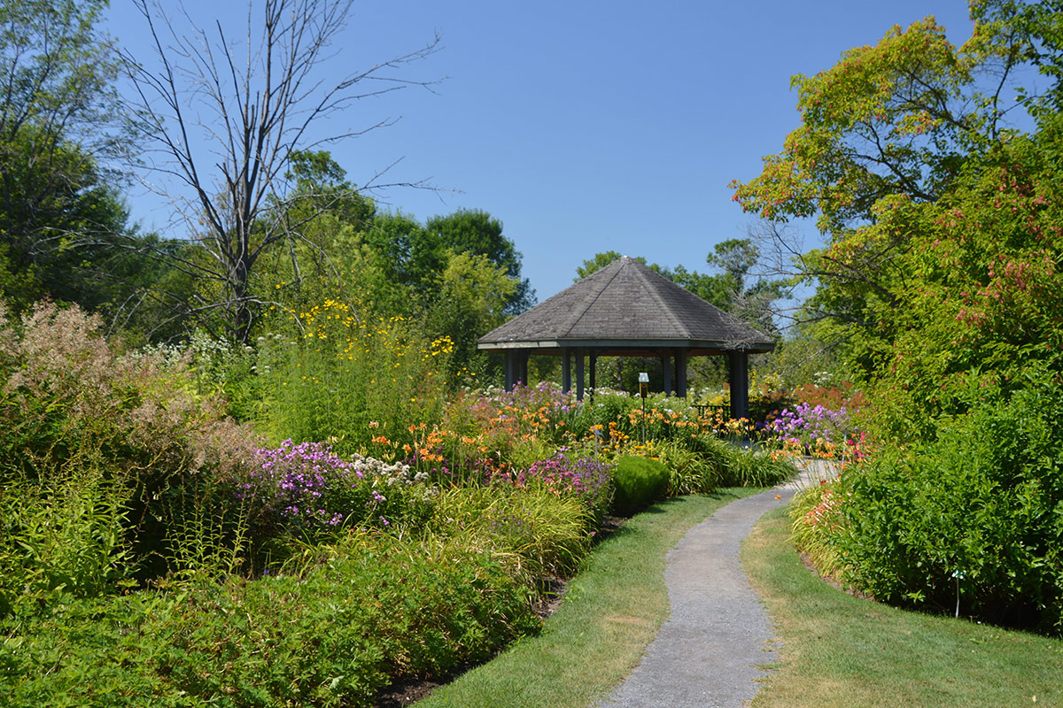 pavilion amongst a sunny flower garden