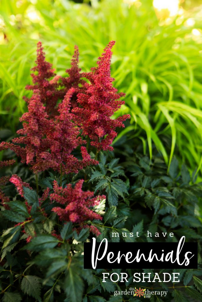 the 7 best perennials for shade gardens 7 must-have perennials for shade