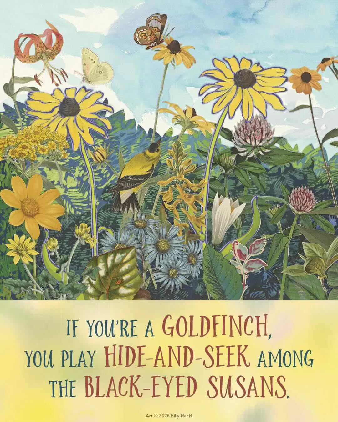 grown-up lessons from 'the weedy garden,' with margaret renkl 20 grown-up lessons from 'the weedy garden,' with margaret renkl