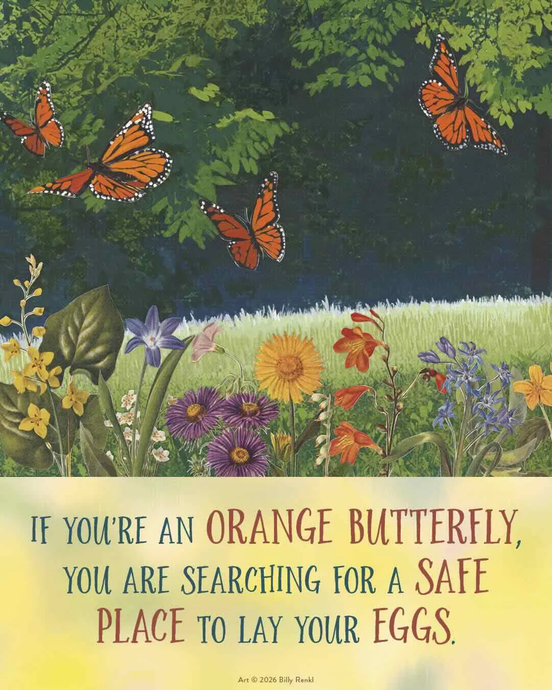 grown-up lessons from 'the weedy garden,' with margaret renkl 19 grown-up lessons from 'the weedy garden,' with margaret renkl