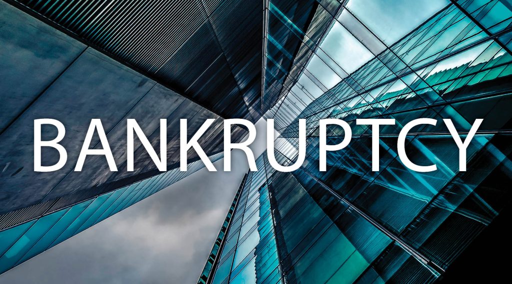 Country Willow files Chapter 7 liquidation