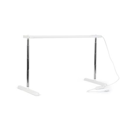 we've mastered germinating chile pepper seeds. here's how 1 chile pepper seeds