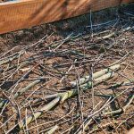 How to Use Fallen Winter Branches in Your Raised Bed How to Use Fallen Winter Branches in Your Raised Bed