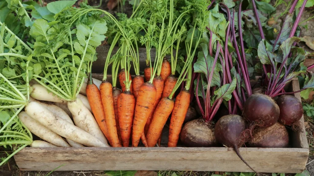 Plant These Vegetable Seeds Outside in February