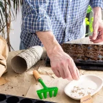 Seed-Starting in Cold Climates: Tips for Zones 2-4