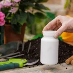 Don’t Burn Your Seedlings: Fertilizer Mistakes to Avoid Don’t Burn Your Seedlings: Fertilizer Mistakes to Avoid