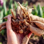 Signs of Trouble to Watch For Signs of Trouble to Watch For