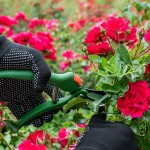 How to Tell It’s Time How to Tell It’s Time