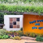 Soil Improvement: Why 2026 Could Be the Year Gardeners Finally Put Soil First – The Middle-Sized Garden