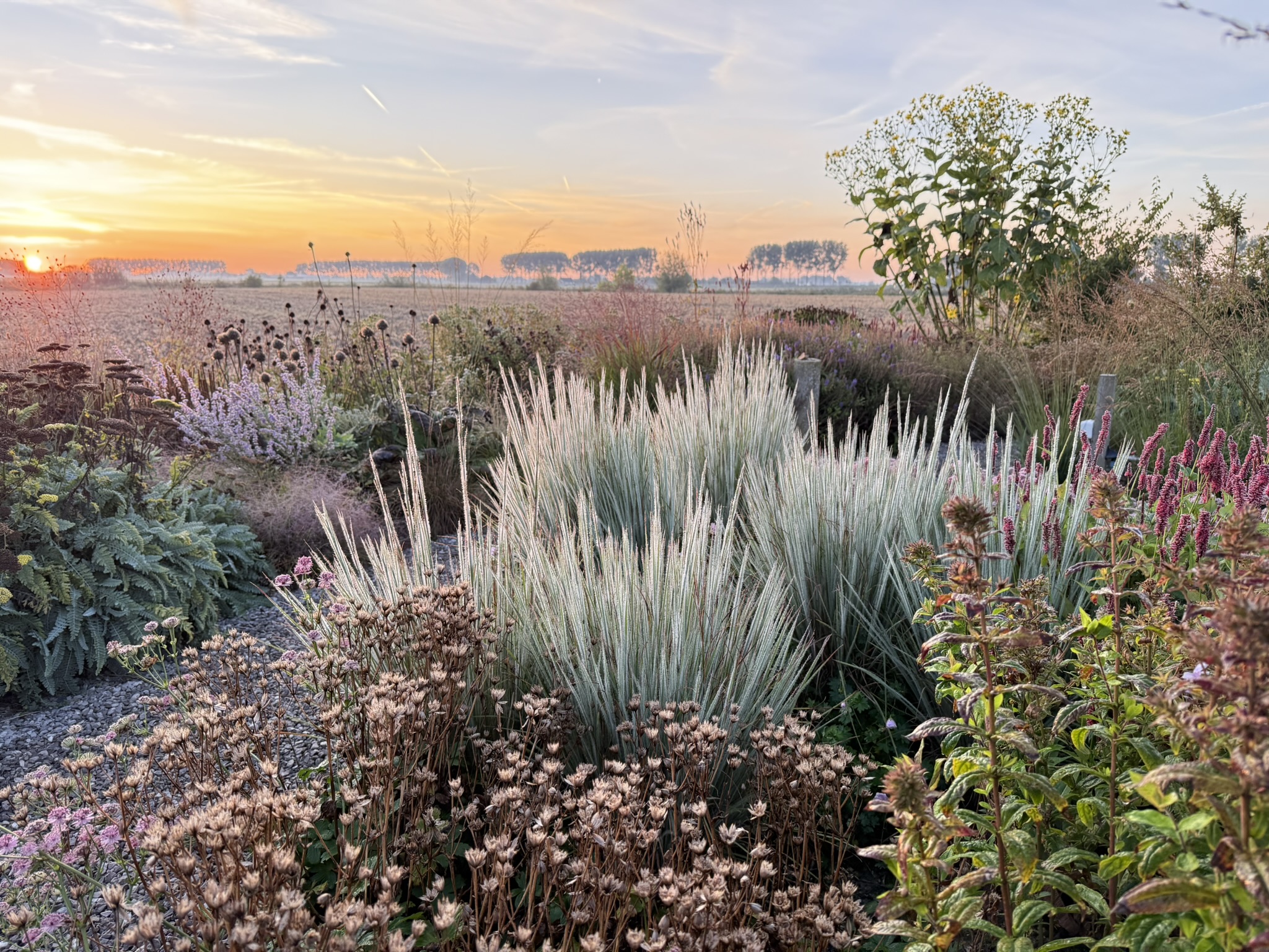 international garden tour