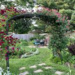 alana’s plant playground in ohio