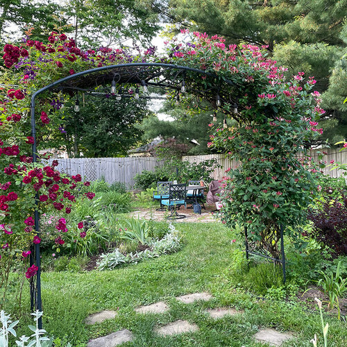 Alana’s Plant Playground in Ohio