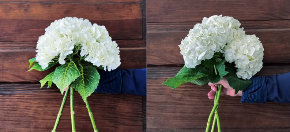 decorate with hydrangeas