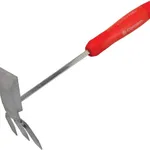 What Happens to Plants in Winter, and Maintenance Advice to Support Their Needs