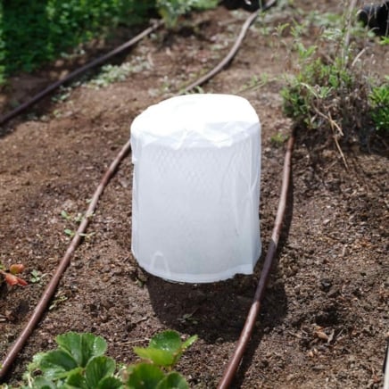 critter cover frost blanket