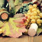 Recycle Wine Corks in Your Yard | 8 Eco-Friendly Garden Tips