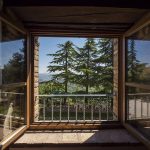 Top 5 Ideas: Nurturing Earth’s Pulse